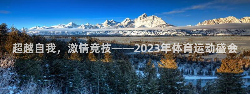 3377体育官方正版app神州:超越自我,激情竞技——202