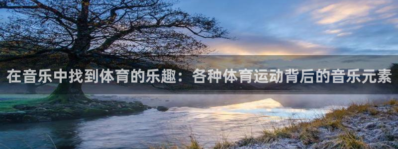 3377体育官方正版app集团官网网址:在音乐中找到体育的乐