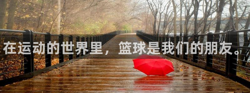 3377体育官方平台体育:在运动的世界里,篮球是我们的朋友。